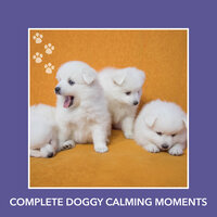 Cosmic Reflection Mornings - Relaxing Dog Music