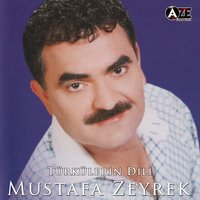 Yaylanın Soğuk Suyu - Mustafa Zeyrek