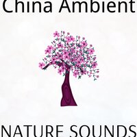 Kung Fu Shaolin - Chinese Channel