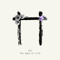 Kamé - 747