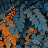 Silver Lining - Yoga Music & Relaxing Music Therapy & Música Relajante