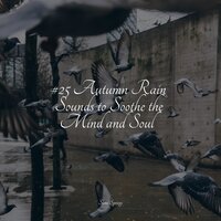 Rain Dripping from the Roof - Classical New Age Piano Music & Yoga Workout Music & Relaxing Nature Ambience