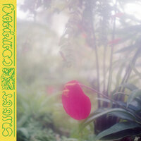 Sweet Company - Jabu & Daniela Dyson