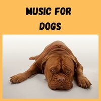 Pampered Paws - Music for Dogs & Music for Dogs Peace & Relaxing Puppy Music & Calm Pets Music Academy