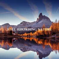 Falling Calmness - Serenity Nature Sounds Academy