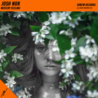 Mistery Feeling - Josh Nor