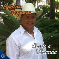 El Sueño de un Coleador - Carlos Sequera