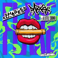 Flare - Shapes & Darkzy & A Little Sound