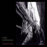 Moldy Vinyl - Yosi Horikawa