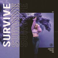 Survive - Spinner Sunny & VERB & Stella Key