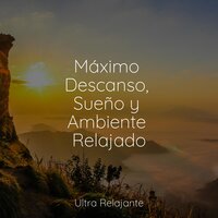 La Paz De La Calma - Meditacion & Canciones de Cuna Relax & Lluvia PQ