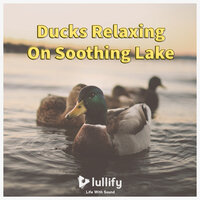 Duck Test - Lullify