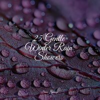 Ocean, Waves, Medium, Foam - A Sudden Rainstorm & Life Sounds Nature & Rain Sounds XLE Library