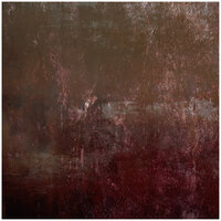 Suite bergamasque, CD 82: 3. Clair de lune - Franz Xaver Loes & Claude Debussy