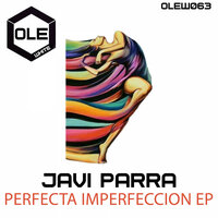 Perfecta Imperfeccion - Javi Parra