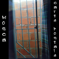 Cartão postal - Mosca