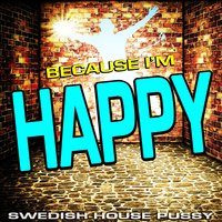 Turn Back Time - Swedish House Pussy