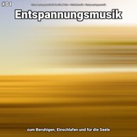 Entspannungsmusik Teil 9 - Entspannungsmusik Sebastian Noiro & Schlafmusik & Entspannungsmusik