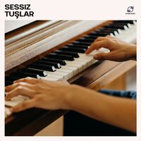 Piyano Stres Giderici - Piyano Müzik & Dinlendirici Piyano Müziği & Piyano Arka Plan Müziği & Sakin Piyano Müziği