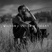Declaración - Wilson