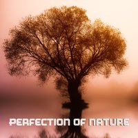 Feel Calmness - Hypnotic Therapy Music Consort