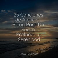 Campos De Sueños Dorados - Masajes Spas & Musicas Crianças & Meditação Zen