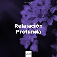 Los Sonidos Suaves - Buenas Noches Veliz