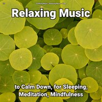Relaxation Music Pt. 37 - Soothing Music & Relaxing music & Yoga