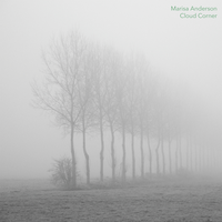 Pulse - Marisa Anderson