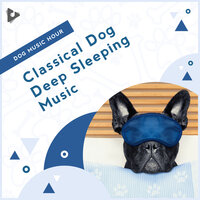 Peaceful Instrumental for Puppies - Dog Music Hour & Relaxing Music for Dogs & Relaxing Puppy Music