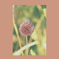 Aromatherapy - Memories - Deep Sleep Music Therapy
