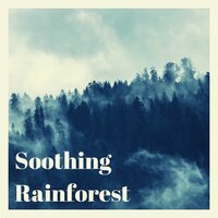 Soothing Rainforest - Serenity Relaxation Music Spa