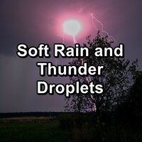 Gentle Rain and Thunder For a Peaceful Night For Good Rest - The Rain Library & Heavy Rain Sounds & Rain Storm Sounds