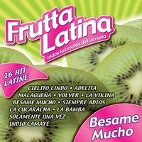 La Cucaracha - Gruppo Latino