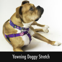 Ethereal Pup Anti Anxiety Ambience - Calming Doggy Sleep