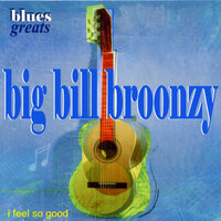 These Ants Keep Biting Me - Big Bill Broonzy