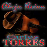 Cascos Ligeros - Carlos Torres