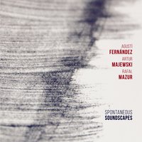 Soundscape 1 - Agusti Fernandez & Artur Majewski & Rafał Mazur
