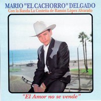 El Amor No Se Vende - El Cachorro Delgado