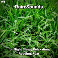 Yoga Meditation - Calming Sounds & Rain Sounds & Nature Sounds