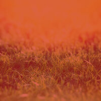Background for Quiet Tranquility - Fashionable Armenian Duduk