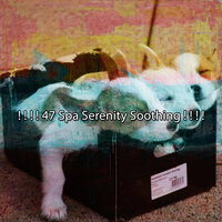 Give Into Your Lethargy - Deep Sleep Music Experience