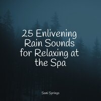 Soothing Beach Ambience (Gentle Waves) - Egyptian Meditation Temple & Deep Sleep FX & Tinnitus