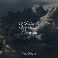 Sueño Profundo - Música a Relajarse & Musica relajante con sonidos de la naturaleza & Academia de Meditação Buddha