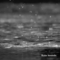 Summer Showers and Thunderstorms, Pt. 4 - Weather and Nature Recordings & The Outdoor Library & Rain Sounds & Nature Sounds