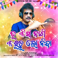 Tu Kisa Nagi Karuchu Lo Ninda - Papu Pom Pom