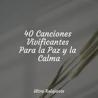 Mareas De Karma - Ambiente & Música para Relajarse Profundamente & Música a Relajarse