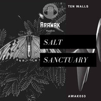 Salt - Ten Walls