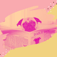 Smoky Backdrops for Separation Anxiety - Dog Relaxation Music