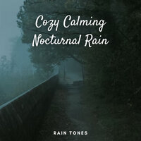 Holiday Rain - Natural Sound Makers & Miracle Tones & The Forest Escape